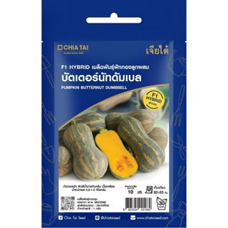 เมล็ดพันธุ์ ฟักทอง บัตเตอร์นัทดัมเบล เจียไต๋
