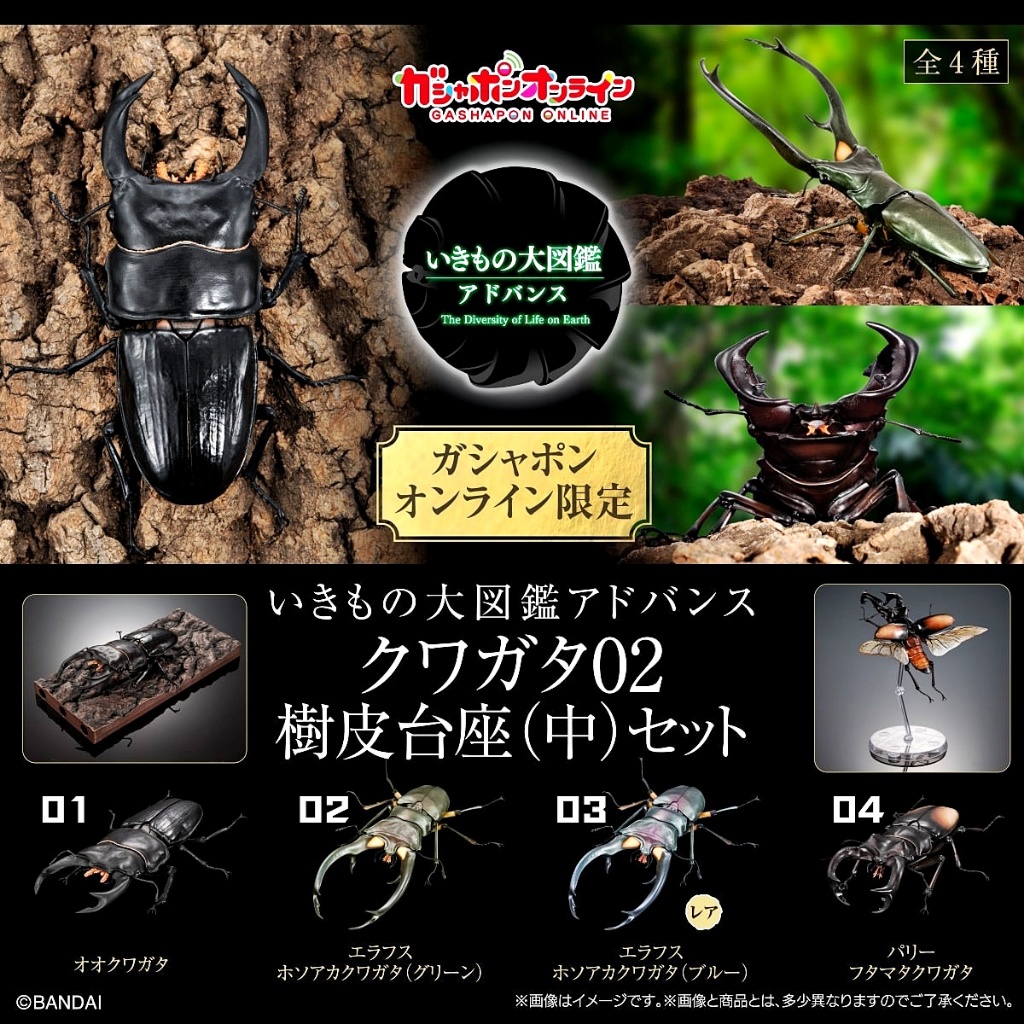 (มีของพร้อมส่ง) กาชาปองด้วงคีมใหญ่พิเศษ Gashapon Bandai Premium Big Size Kuwagata Stag Beetle Action Vol.02 โมเดลสัตว์