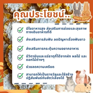 Binky Bunny House ผักและผลไม้อบแห้ง (Dried Fruits and Vegetables) ขนมอบแห้งสำหรับสัตว์ฟันแทะ