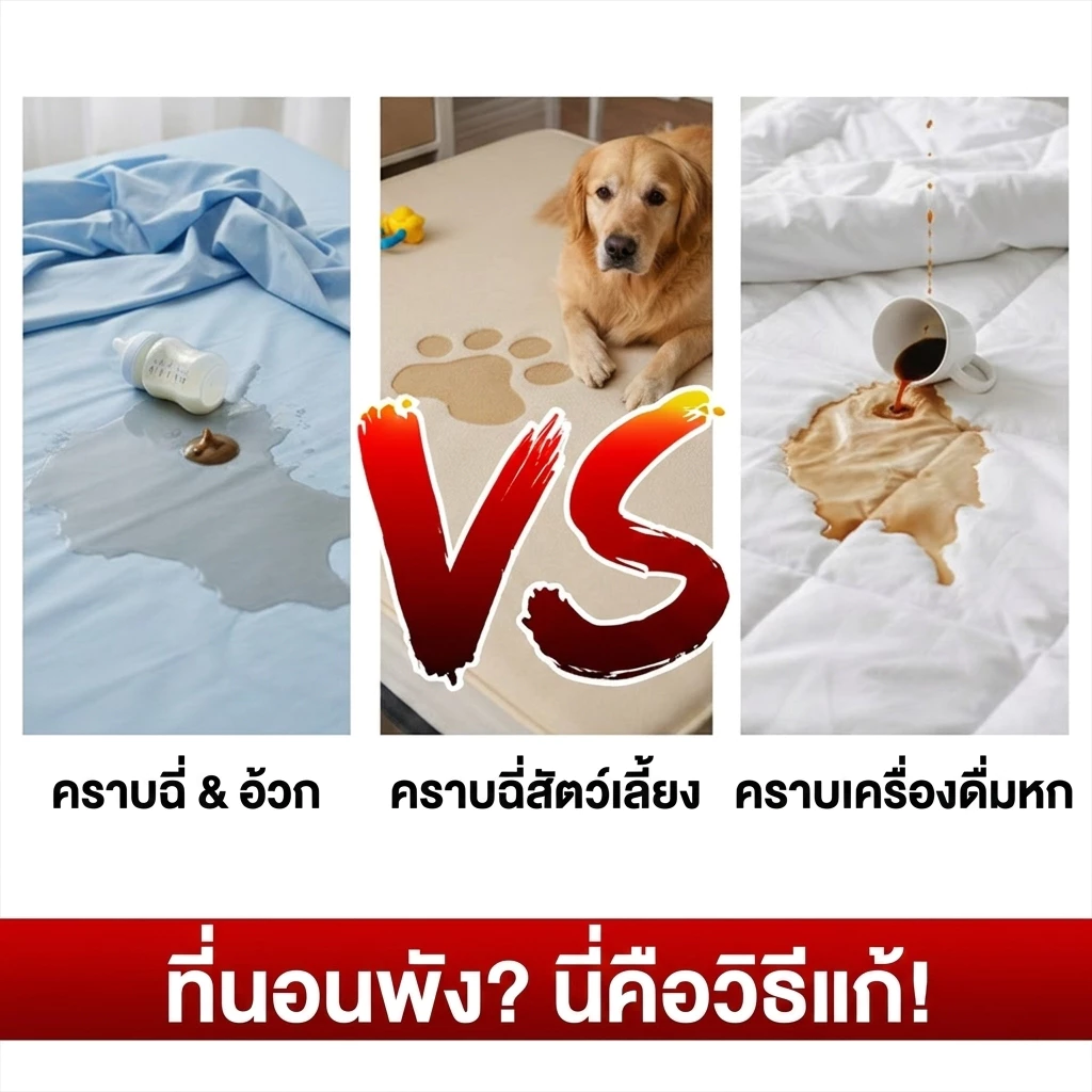 INFUN ผ้ารองกันเปื้อนที่นอนกันน้ำ ยางรัดมุม 3/4/5/6 ฟุต thumbnail 3