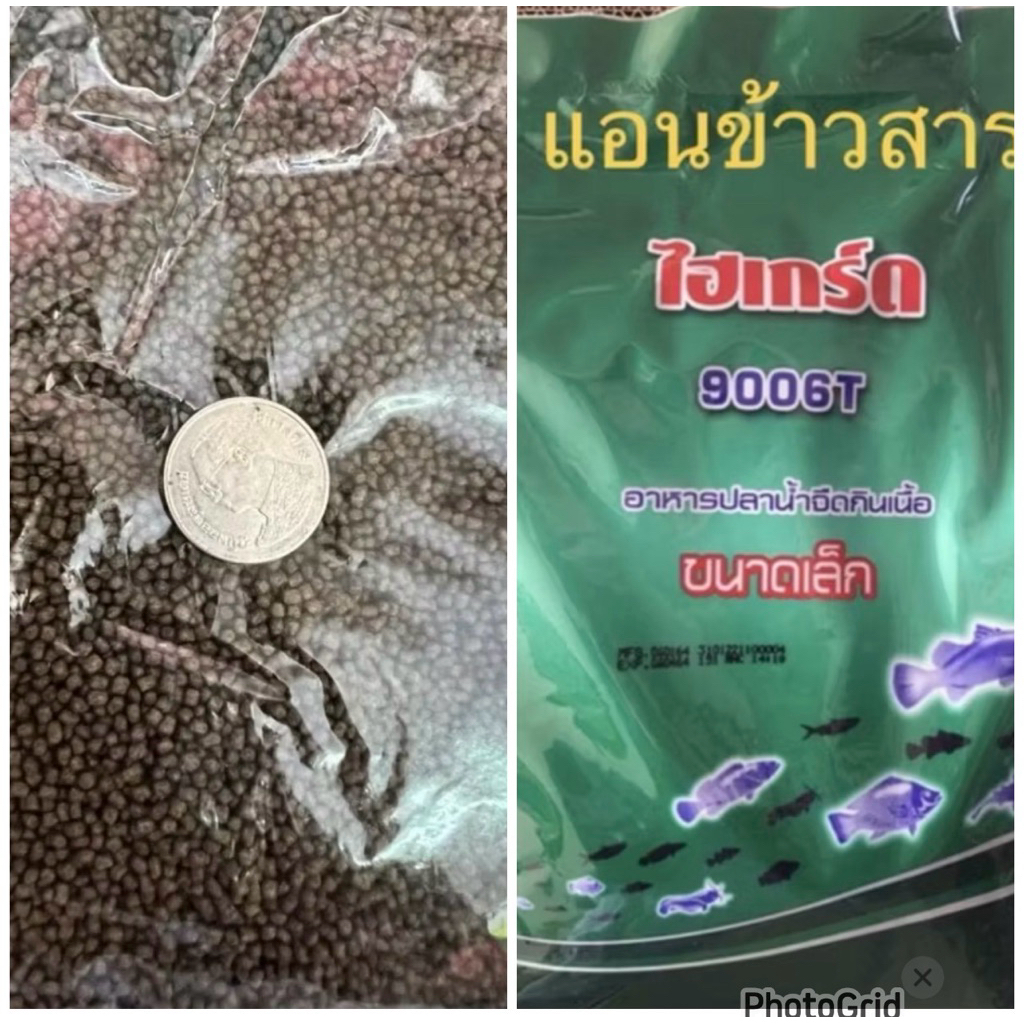 แบ่งขายไฮเกรด 1 กิโล 9006T เม็ดลอย โปรตีน 42%