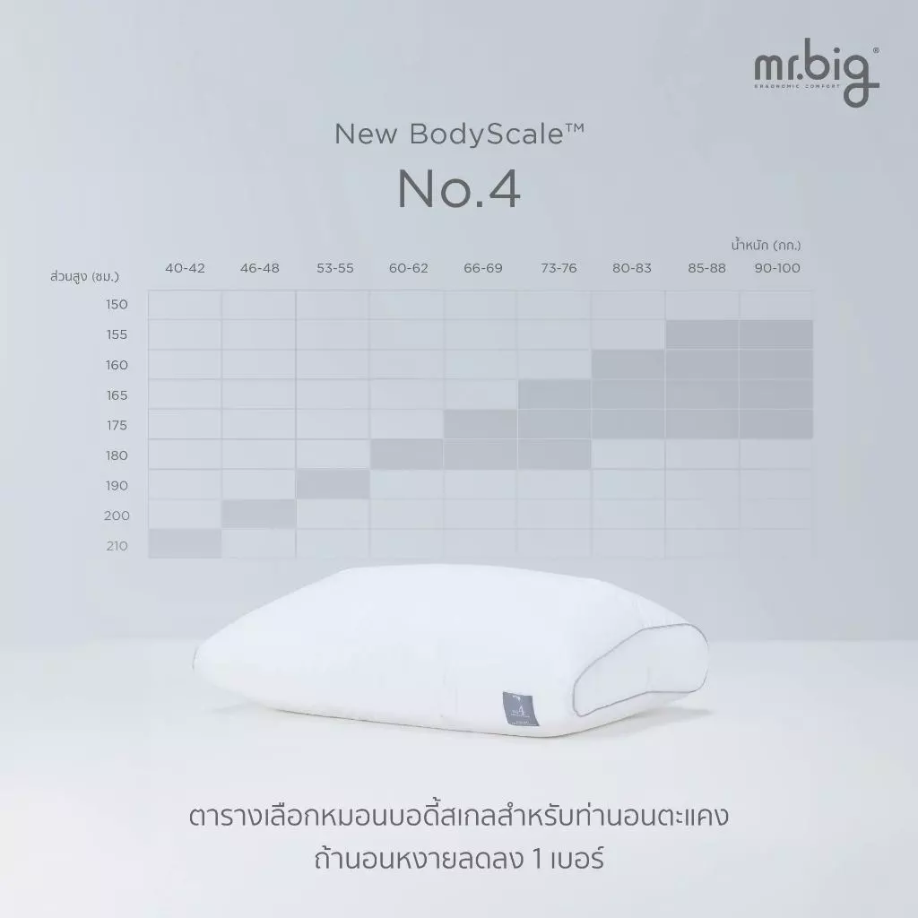 mr.big BodyScale Pillow หมอนหนุน Ergonomic เลือกตามน้ำหนัก/ส่วนสูง/ท่านอน ออกแบบโดยนักกายภาพบำบัดโดยข้อมูลจากสรีระคนไทย thumbnail 7