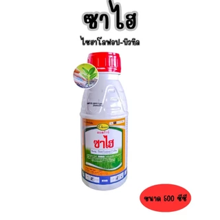 ซาไฮ ไซฮาโลฟอฟ-บิวทิล (ขนาด 500cc) ออสก้าร์