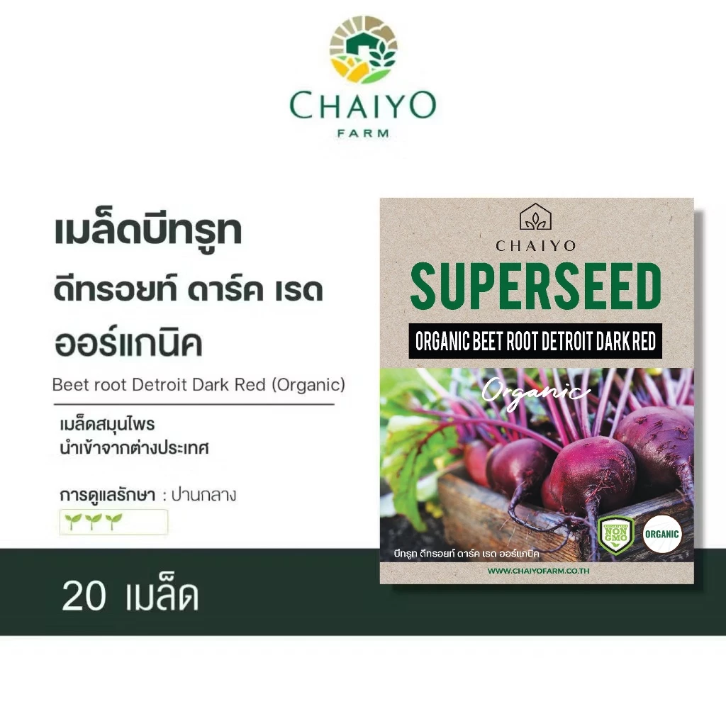 เมล็ด Beet root Detroit Dark Red (Organic) บีทรูท ดีทรอยท์ ดาร์ท เรด ออร์แกนิค