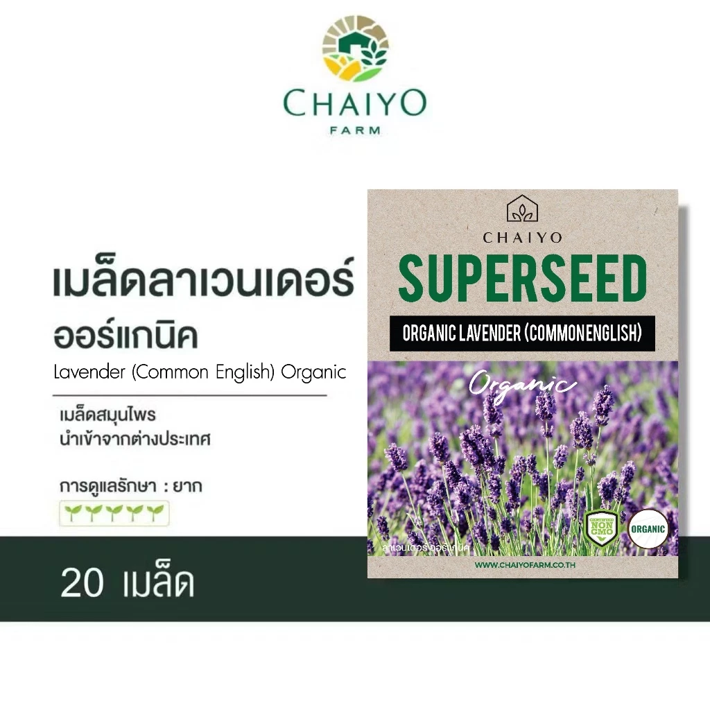 เมล็ด Lavender (Common English) Organic ลาเวนเดอร์ ออร์แกนิค