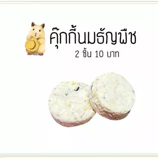 คุ๊กกี้โยเกิตร์ คุ๊กกี้หญ้า ขนมหนูเเฮมเตอร์ กระต่าย กระรอก ชูการ์ เม่นเเคระ เเฟตเทล เเพรี่ด๊อก เเก๊สบี้ สัตว์อื่นๆ