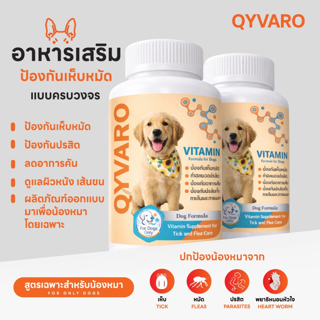 QYVARO หมดปัญหาเห็บหมัด ป้องกัน คัน ขี้เรื้อน ขนร่วง ปรับสมดุลผิวสุนัข