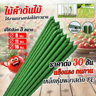 【set 30เส้น】ไม้ค้ำต้นไม้ยาว วัสดุทำจากเหล็ก เคลือบพลาสติกสีเ…
