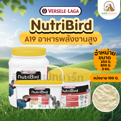 Nutribird A19 อาหารป้อนลูกนก (แบ่งขาย 100กรัม) กระปุก