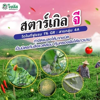 สตาร์เกิลจี (Starkle G) สตาเกิลจี สตาร์เกิล จี สตาเกิล จี สารกำจัดแมลงชนิดดูดซึมเข้าทางระบบราก 1กิโลกรัม
