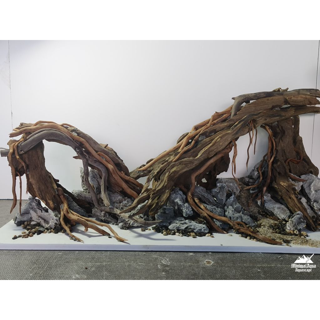 Layout,เลย์เอ้าท์ตกแต่งตู้ไม้น้ำสำหรับตู้24นิ้ว,ทักมาสอบถามเลือกแบบก่อนสั่งซื้อ‼️