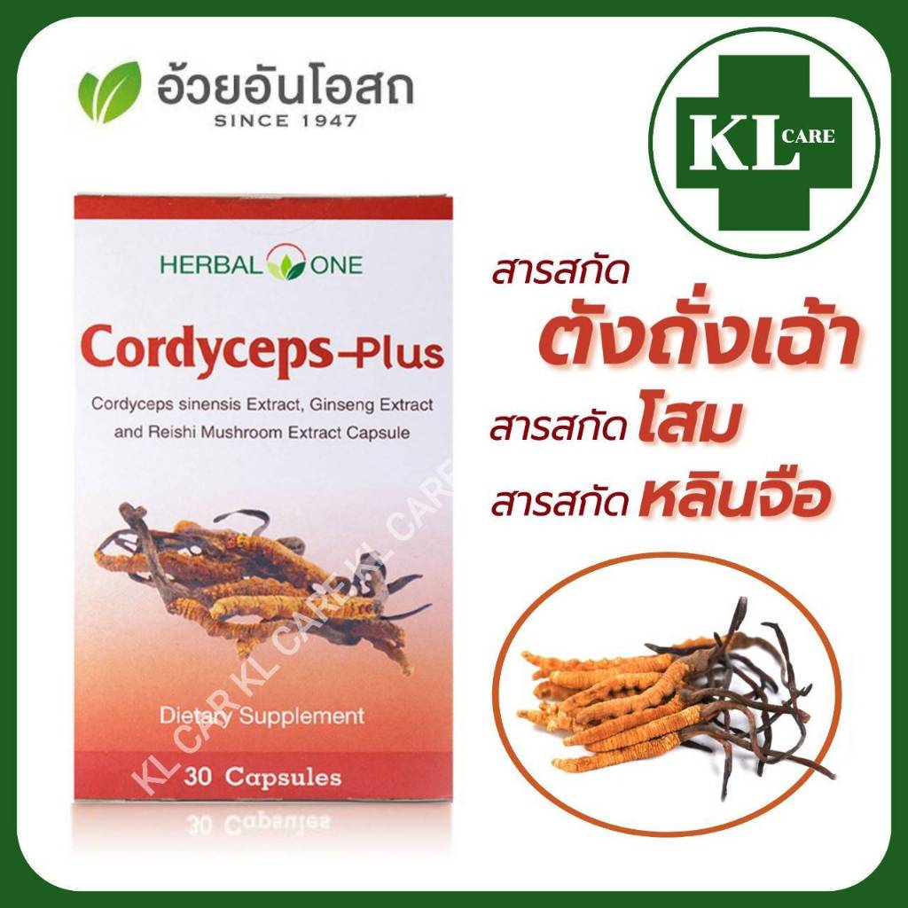 CORDYCEPS ถั่งเช่าสกัดผสมเห็ดหลินจือสกัด (1 กล่อง 30 แคปซูล)