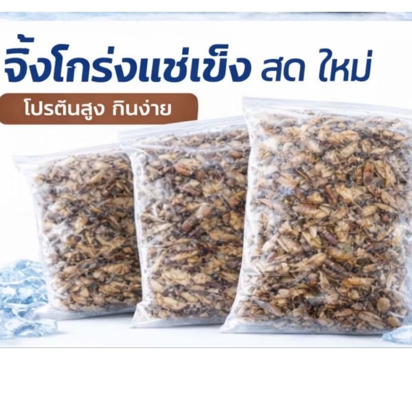 ✨ส่งด่วน✨จิ้งโกร่งไข่แช่แข็ง ไม่ใส่เกลือ สด ใหม่ ไข่แน่น ขนาด 200-1000 กรัม