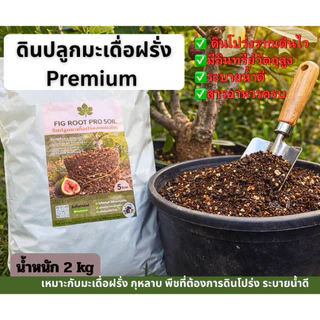 ดินปลูกมะเดื่อฝรั่ง(FIG ROOT PRO) ขนาด 2 กก. ดินโปร่ง ระบายน้ำดี