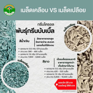 เมล็ดพันธุ์ผักสลัด กรีนโครอล พันธุ์กรีนบับเบิ้ล ( ขนาด 0.5 กรัม ) ( เมล็ดเปลือย ) รหัสสินค้า 3012