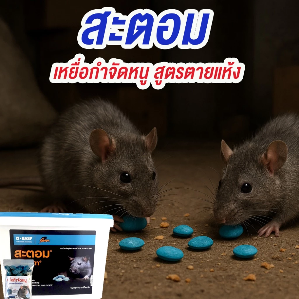 เหยื่อกำจัดหนู Strom โฟลคูมาเฟน ขนาด 100 เม็ด กำจัดหนูตายแห้ง ไม่มีกลิ่น ใช้งานง่าย แค่วาง ไม่ต้องผสมอาหาร สตฟ้า