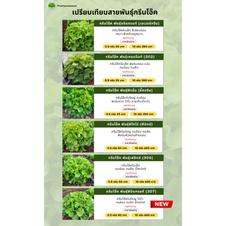 เมล็ดพันธุ์ผักสลัด กรีนโอ๊ค พันธุ์ฟิวชั่น (บิ๊กกรีน) ( ขนาด 0.5 กรัม ) ( เมล็ดเคลือบ ) รหัสสินค้า SSC 1008