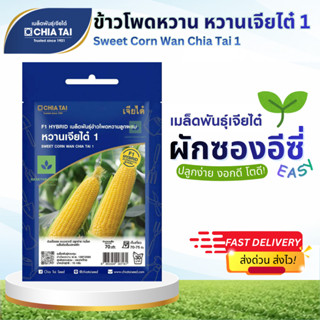 Easy เมล็ดพันธุ์ข้าวโพดหวาน หวานเจียไต๋1 Sweet Corn Wan Chia…
