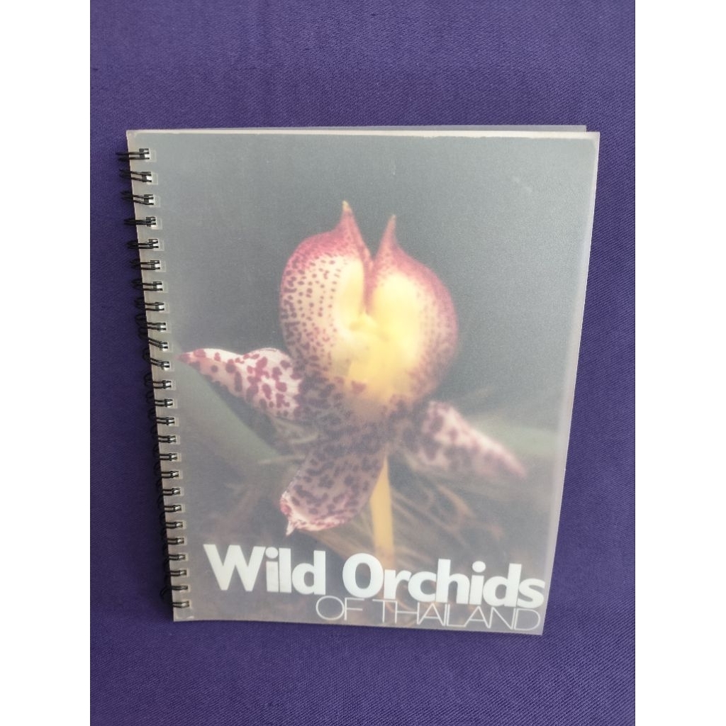 Wild Orchids of Thailand