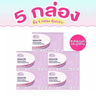 Cottonday แผ่นดูแลสมุนไพร Snow Lotus ขนาด 160 มม 2 แผ่น ปรับปรุงการไหลเวียนเลือด ขับสารพิษ ผ้าอนามัย