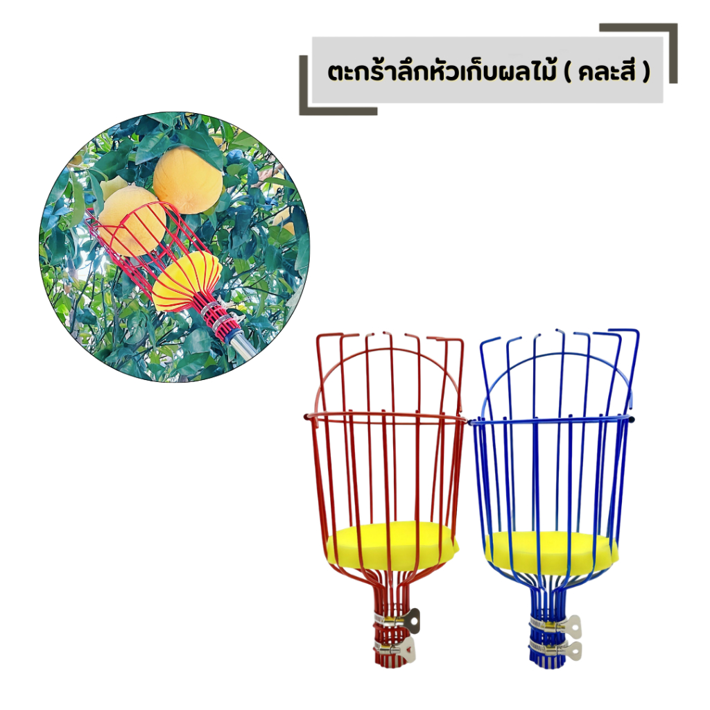 ตะกร้าลึกหัวเก็บผลไม้ ( คละสี ) เก็บผลไม้ สอยผลไม้