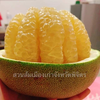 [ กล่องละ 6 ลูก ] ส้มโอขาวน้ำผึ้งพิจิตร ส้มโอสด น้ำหนัก 0.8 -1.0 กิโล เนื้อหวาน ไม่ขม อร่อย พร้อมส่ง