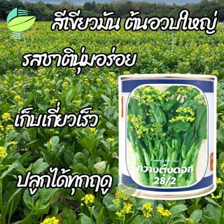 เมล็ดพันธุ์ กวางตุ้งดอก 28/2 ตราลูกโลก ( 400 กรัม )