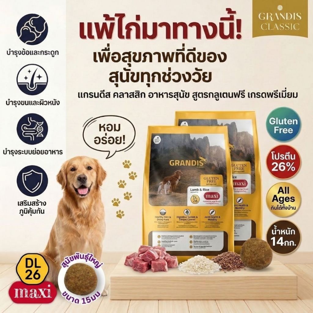 แกรนดีส DL26 แม็กซี่ (14กก) อาหารสุนัขเกรดพรีเมี่ยม GRANDIS  สูตรกลูเตนฟรี แกะและข้าว