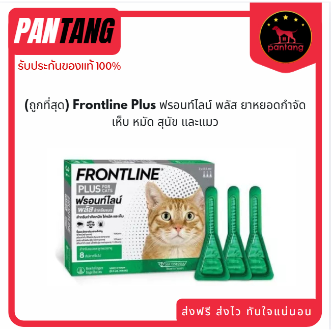 (ถูกที่สุด) Frontline Plus ฟรอนท์ไลน์ พลัส ยาหยอดกำจัดเห็บ หมัด สุนัข และแมว