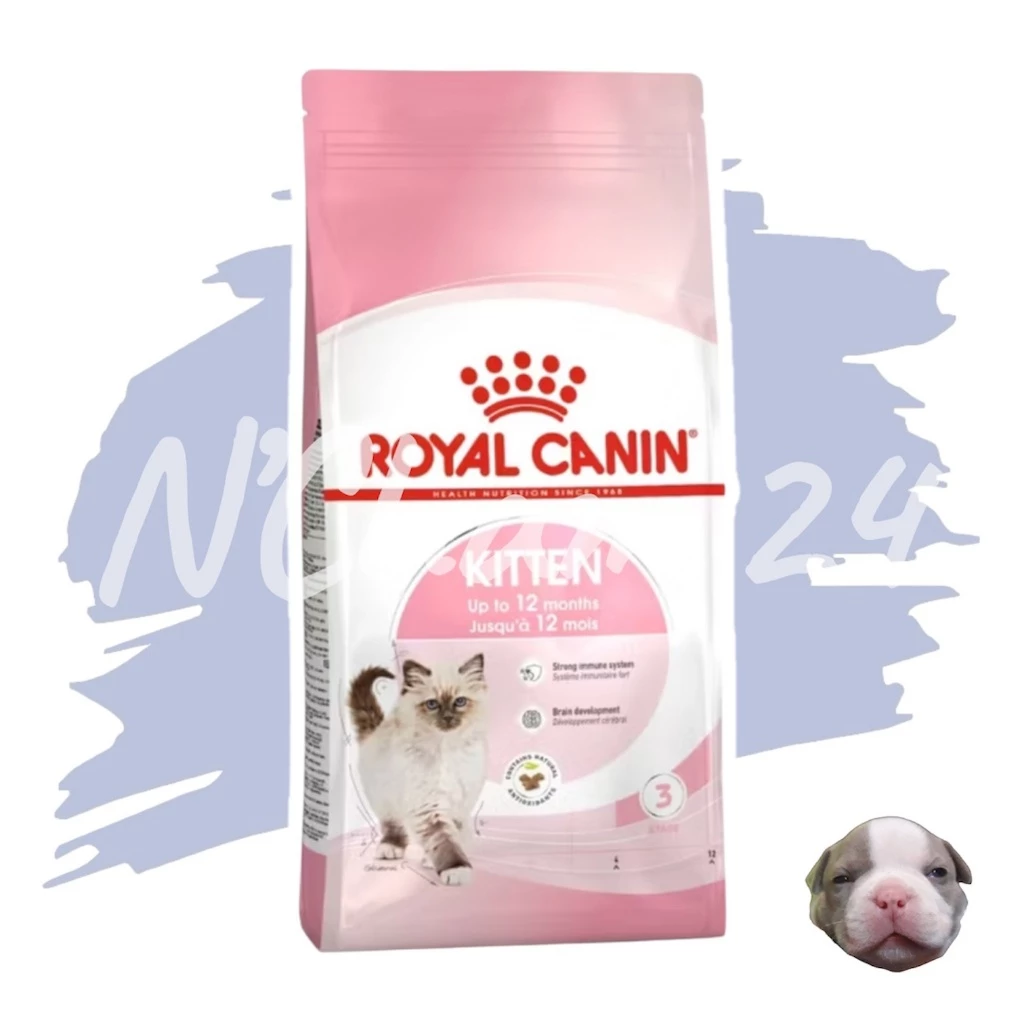 Royal Canin Kitten ขนาด 2kg,4kg และ 10kg อาหารเม็ด สำหรับลูกแมว อายุ 4-12 เดือน