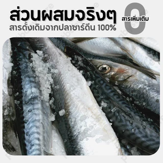 ขนมแมว ปลาแมว ขนมหมา โปรตีนสูง ไม่เค็ม ขนาด ปลอดภัยต่อไต สดใหม่ทุกวัน ไม่ใส่สารกันเสีย สุนัขก็ชอบทาน