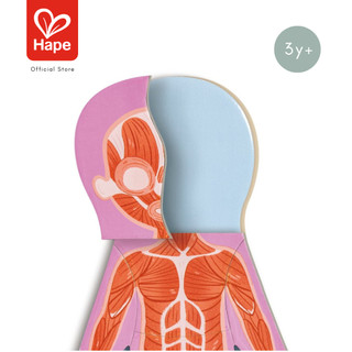 HAPE Human Body Magnetic Puzzle أحجية جسم الإنسان المغناطيسية 3Y+ صورة 5