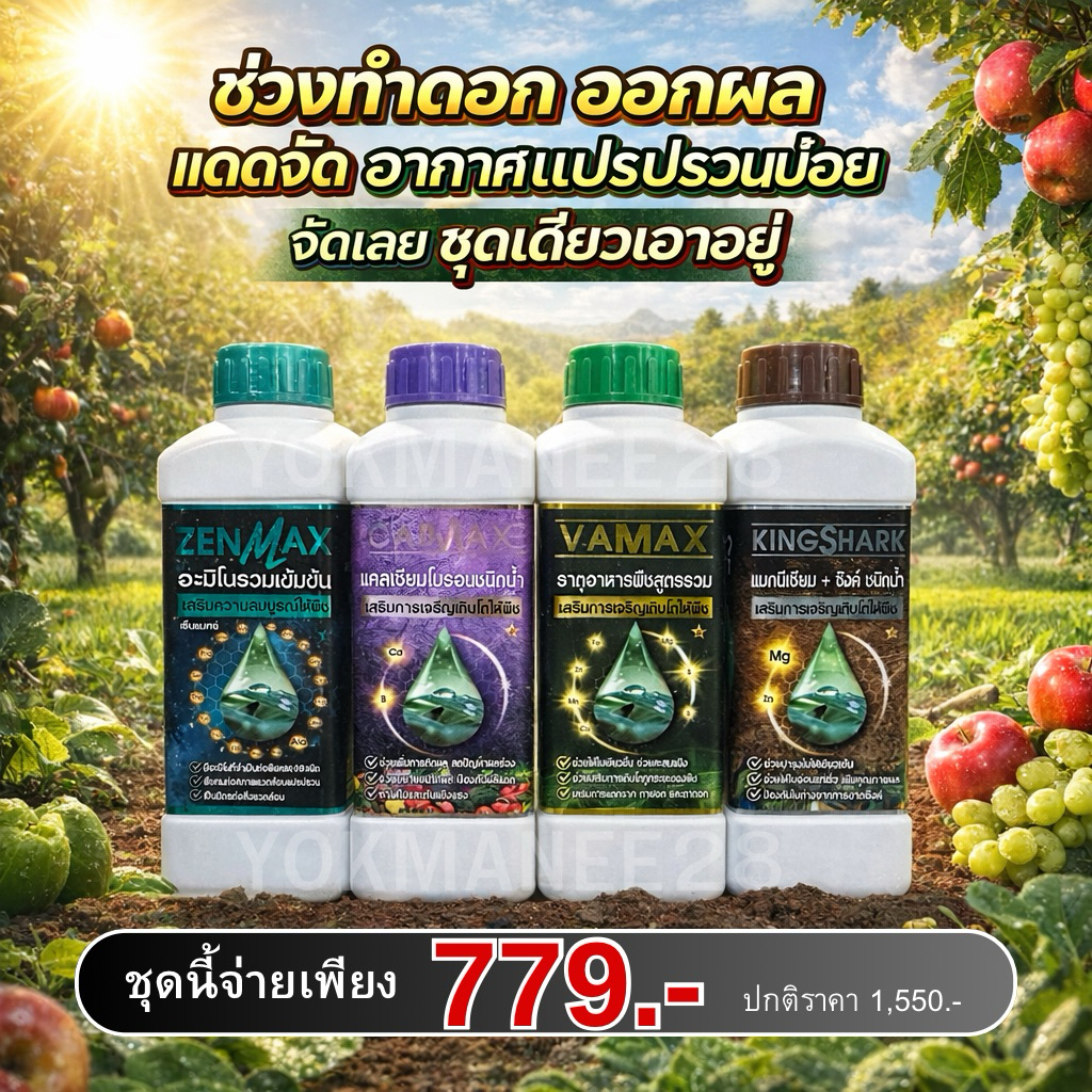 (C1+V1+Z1+K1)ชุด 4 ลิตร แคลเซียมโบรอน+ธาตุรวมเสริม+อะมิโนรวมเข้มข้น+ซิงค์แมกนีเซียม