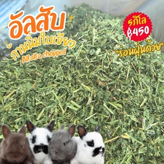 อัลฟาฟ่าสับถูกมาก 3 5 10 กิโลเขียวๆร่อนฝุ่นแล้ว