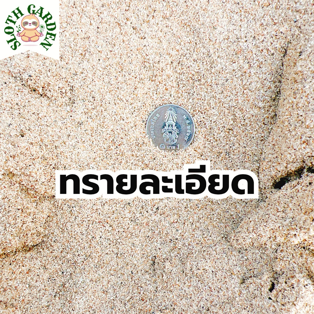 [ส่งเร็ว] ทรายแม่น้ำปิงแท้ 100% ทรายสีทองธรรมชาติ เม็ดมนไม่คม สำหรับตู้ปลา แคคตัส จัดสวนถาด ไม้ประดับ thumbnail 5