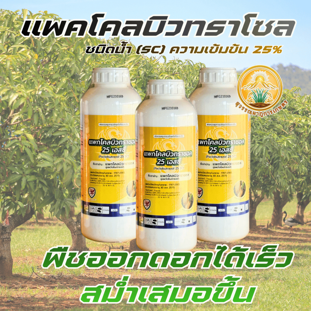สารทำดอกนอกฤดู แพคโคลบิวทราโชล25% 1ลิตร(3ขวด) ทุเรียน มะม่วง มะนาว