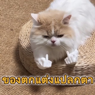 ของตกแต่งรูปแขนกล้ามเนื้อแมว, ที่ห้อยคอรูปแมวชกมวย, ที่ห้อยค…