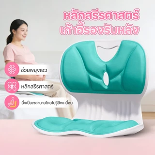 เบาะรองนั่ง เบาะรองนั่งเพื่อสุขภาพ เบาะพกพา นั่งนานไม่เมื่อย มี 2 ขนาดให้เลือก สะดวกสบายและดูแลกระดูกสันหลัง