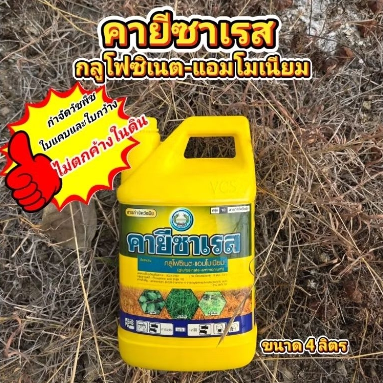 4 ลิตร คายีซาเรส กลูโฟซิเนต-แอมโมเนียม 15% ออกฤทธิ์เร็ว กำจัดวัชพืชทันใจ