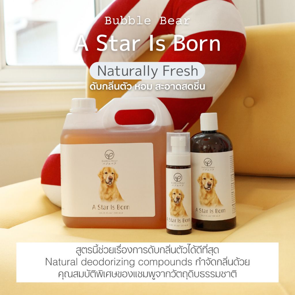 Bubble Bear A Star Is Born แชมพูสัตว์เลี้ยง (ขนาด 500ml / รูปที่ 2