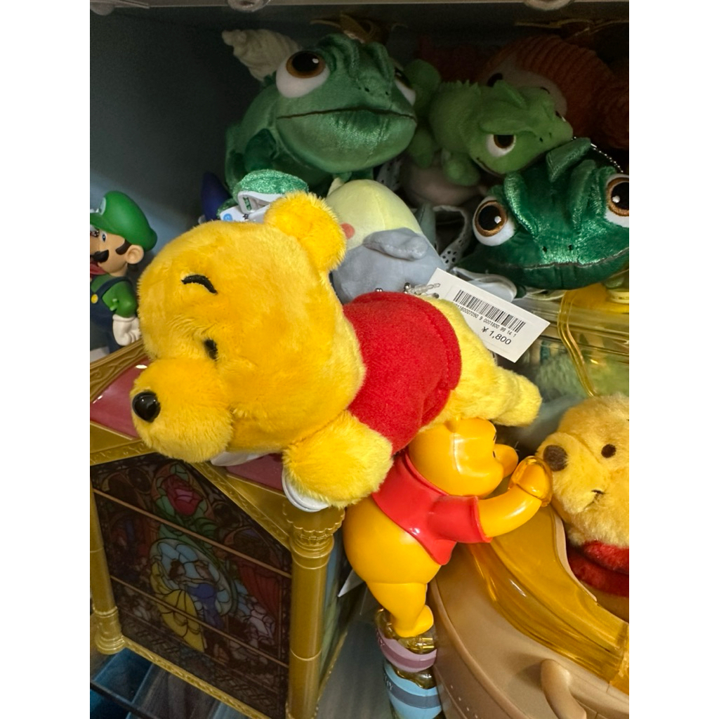 ของสะสม Tokyo Disneyland