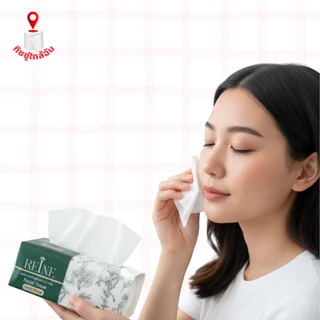 เซต 2 ลัง 40 ห่อ กระดาษทิชชู่เช็ดหน้า Reine หนา 4 ชั้น 360 แผ่น เนื้อสัมผัสนุ่ม อ่อนโยนต่อผิว กระดาษชำระ ทำความสะอาด