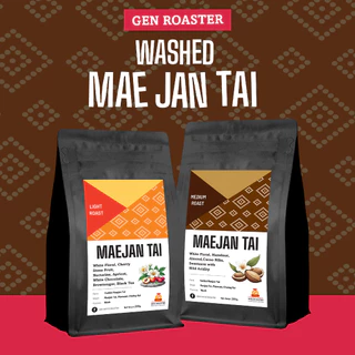 Gen Roaster เมล็ดกาแฟพิเศษ แม่จันใต้ เชียงราย คั่วอ่อน คั่วกลาง Mae Jan Tai Light and Medium Roast หอมดอกไม้ คลีนหวาน