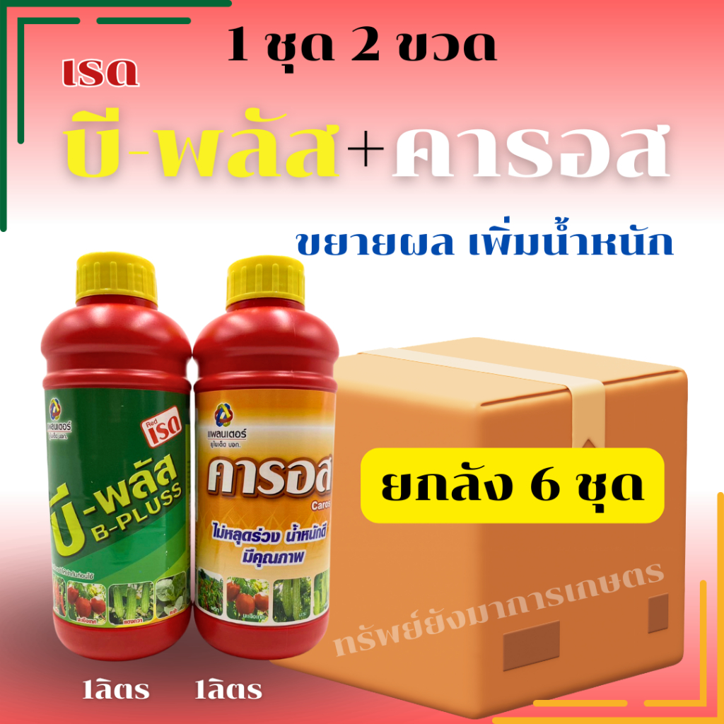 ยกลัง 6 ชุด ปุ๋ยน้ำ เรด บี-พลัส+คารอส 1 ชุด 2 ขวด ปุ๋ยเคมีชนิดน้ำ สูตร 0-17-5 ฮอร์โมนพืช ฉีดพ่นทางใบ ผัก ผลไม้