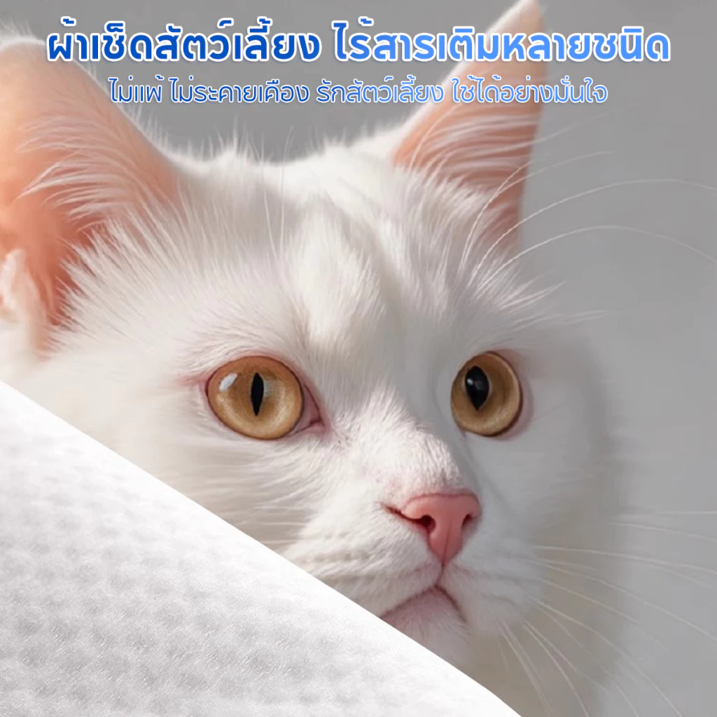 Pet Record ผ้าเช็ดทำความสะอาดสัตว์เลี้ยง 80 แผ่น thumbnail 6