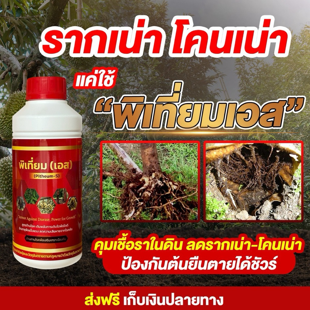 พิเที่ยมเอส ตัวช่วยแก้รากเน่า โคนเน่า ใบเหลือง ใบจุด ราแป้งราน้ำค้าง ขนาด1ลิตร