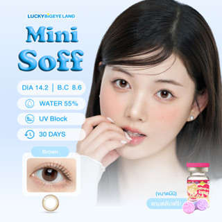 คอนแทคเลนส์ Mini Soff Brown (Kitty Kawaii) ขนาดมินิ 🌷