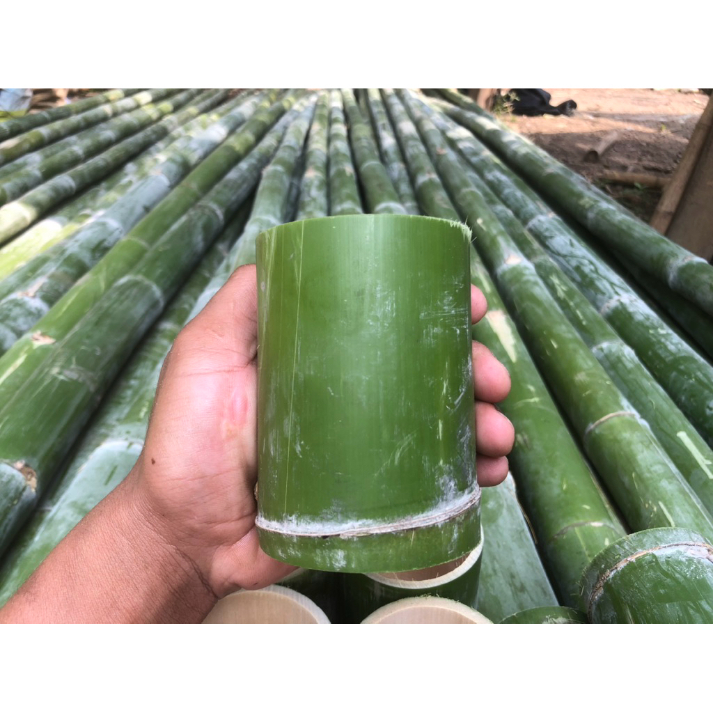 กระบอกข้าวหลามช็อต(10ชิ้น)หอมกลิ่นไผ่อ่อนๆตัดสดทุกออเดอร์ขนาด2.5-3.5นิ้วแบบคละไซต์