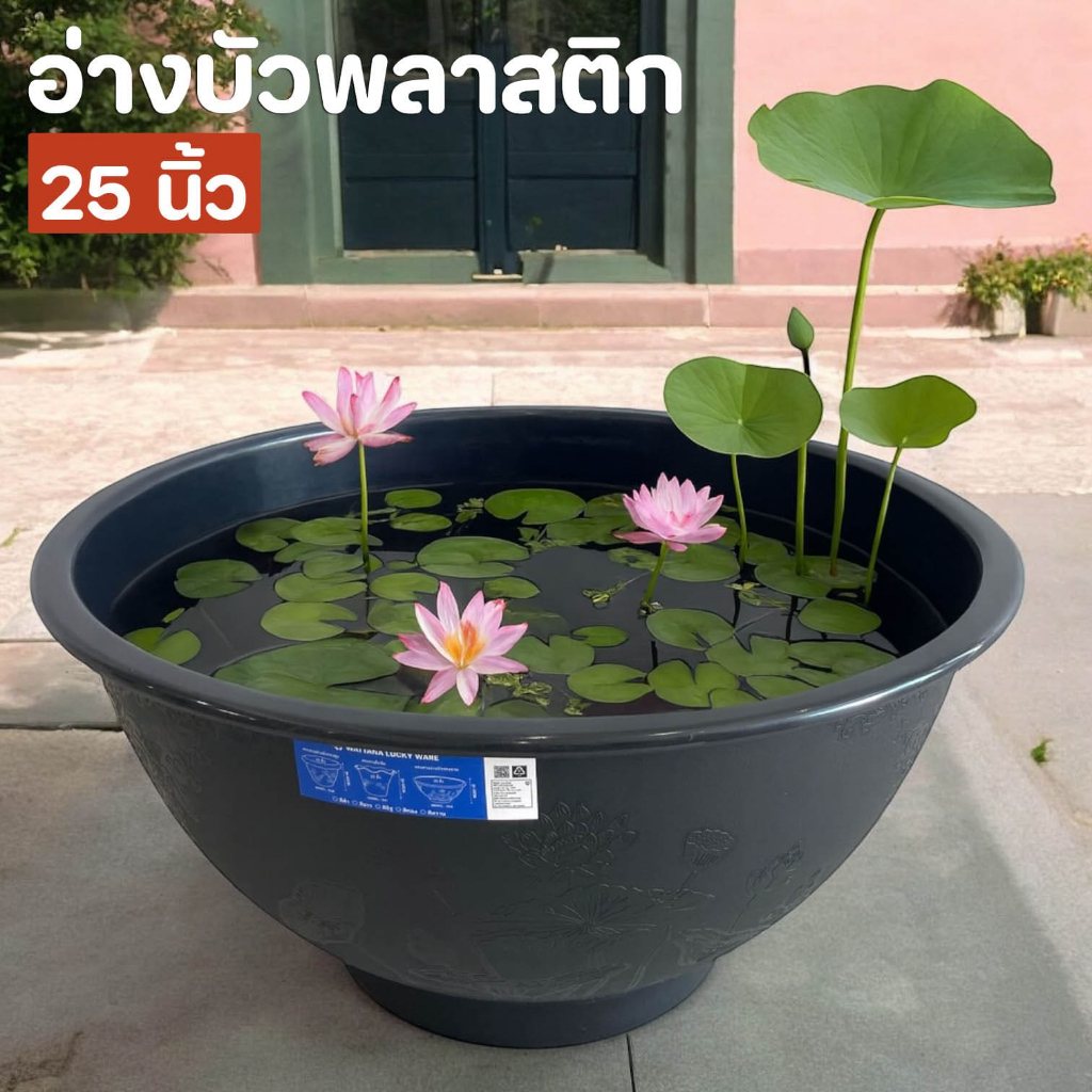 อ่างบัวพลาสติก 25 นิ้ว ขนาดใหญ่  จุ 60 ลิตร ใช้ปลูกบัวหรือไม้น้ำ เลี้ยงปลาได้ พิมพ์ลายรอบอ่าง
