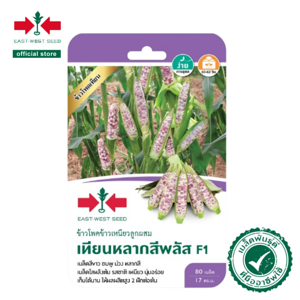 ศรแดง เมล็ดพันธุ์ข้าวโพดข้าวเหนียวลูกผสม เทียนหลากสีพลัส F1 (เมล็ดเคลือบ) (East-West Seed) เมล็ดพันธุ์ ผักสวนครัว ตราศรแ